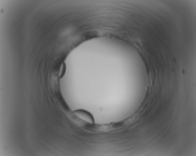 X0000062870527200601131014