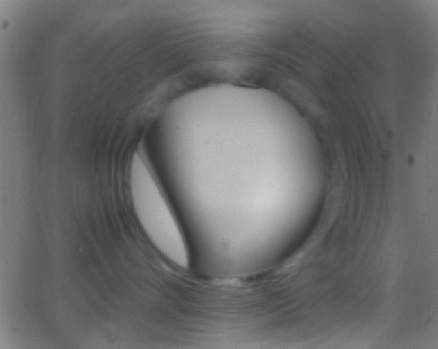 X0000062870528200601131014