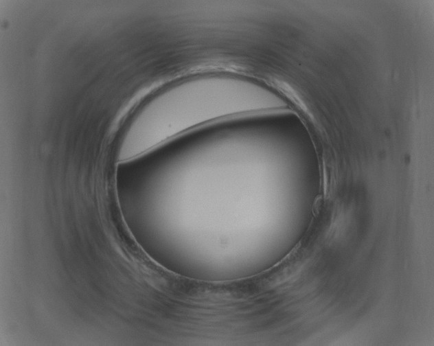 X0000062870531200601131013