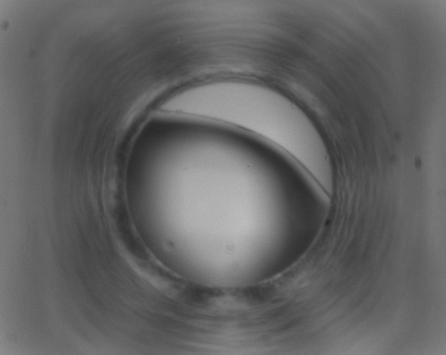 X0000062870544200601131013