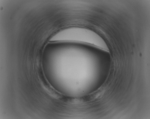 X0000062870546200601131013