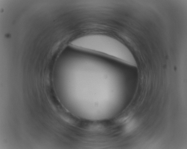 X0000062870547200601131013