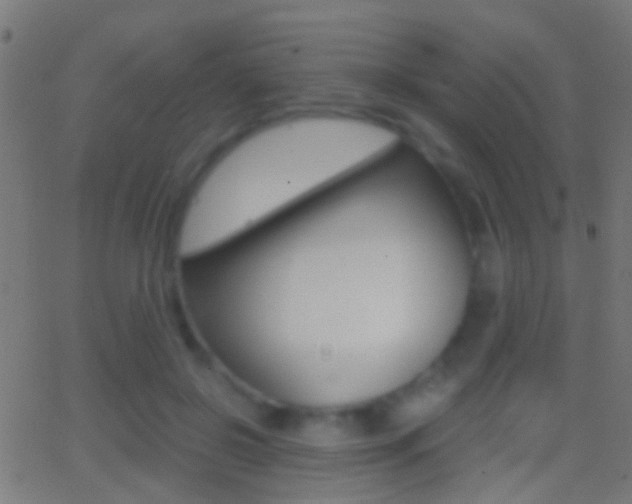 X0000062870550200601131013