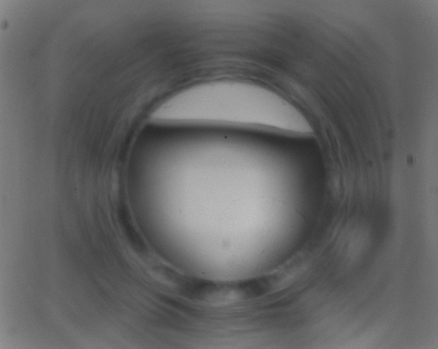 X0000062870551200601131013
