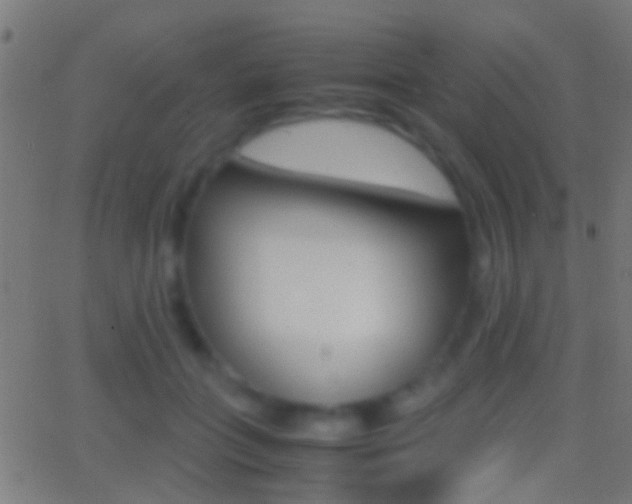 X0000062870555200601131013
