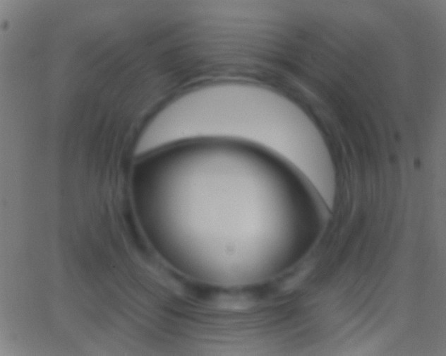 X0000062870556200601131013