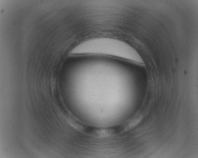 X0000062870558200601131013