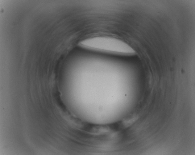 X0000062870559200601131014