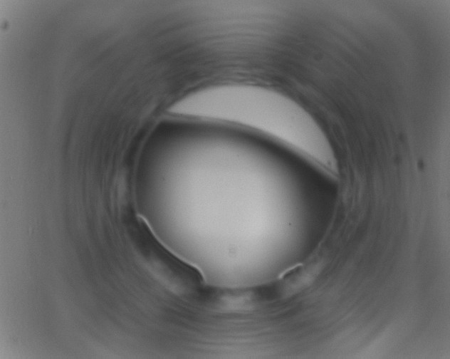 X0000062870560200601131014