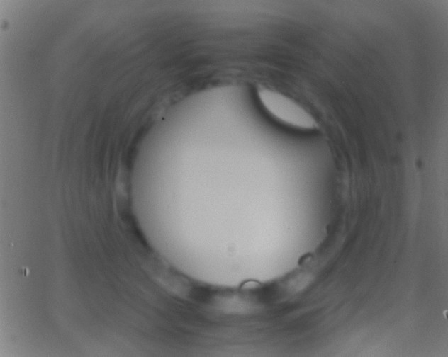 X0000062870561200601131014