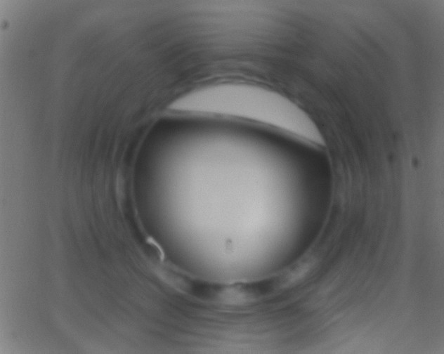 X0000062870562200601131014