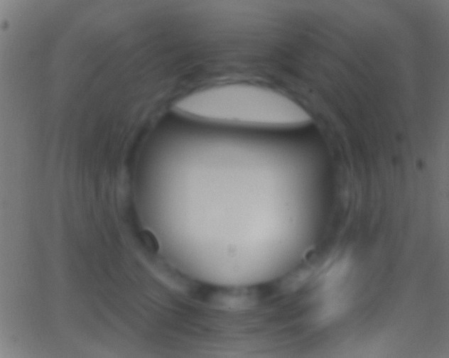 X0000062870563200601131014