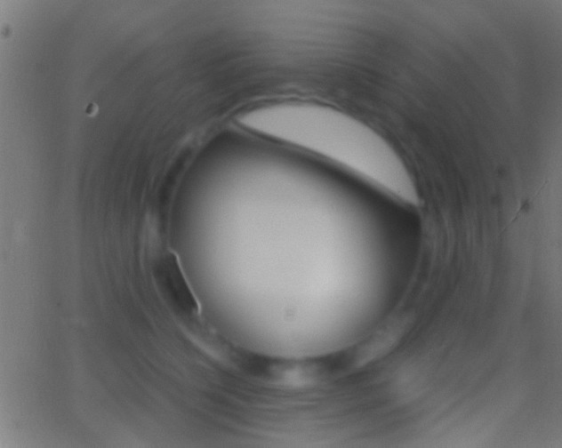 X0000062870564200601131014