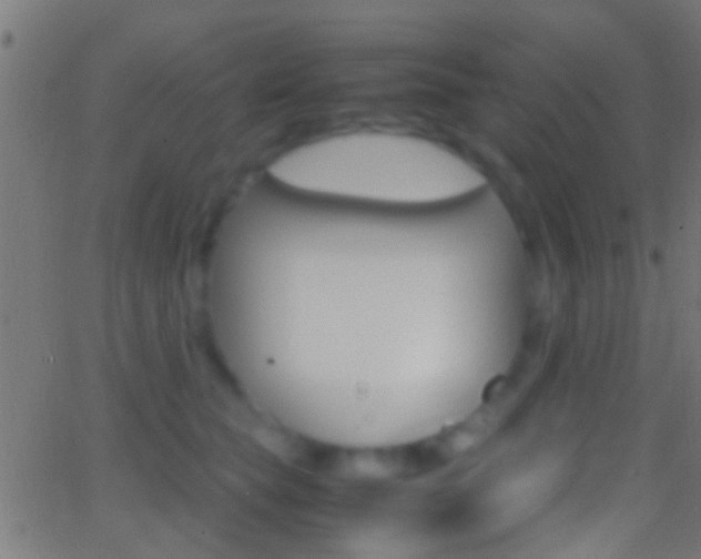 X0000062870565200601131014