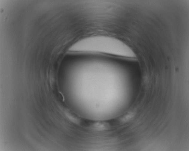 X0000062870566200601131014