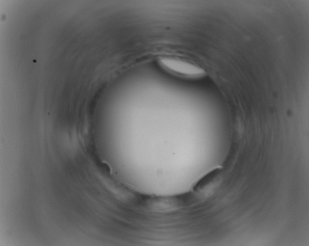 X0000062870567200601131014