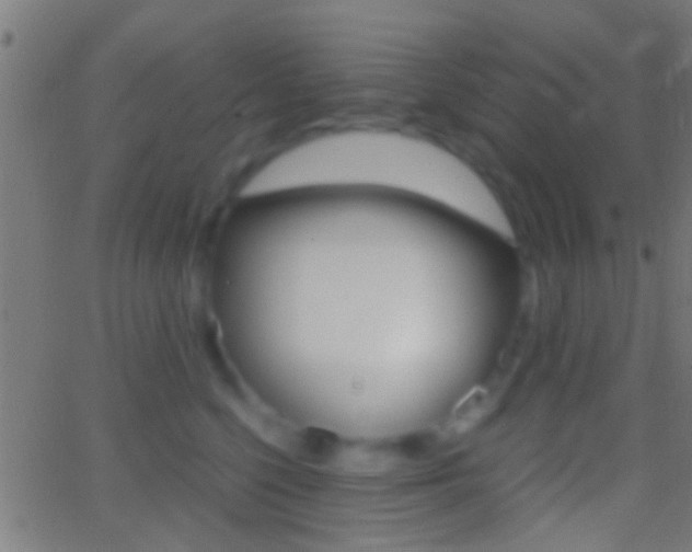 X0000062870568200601131014