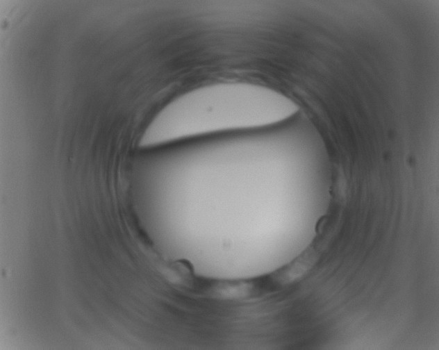 X0000062870569200601131014