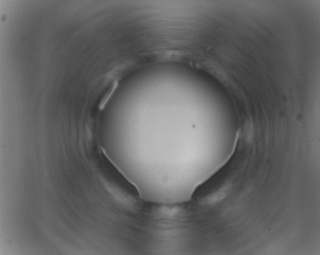 X0000062870570200601131014