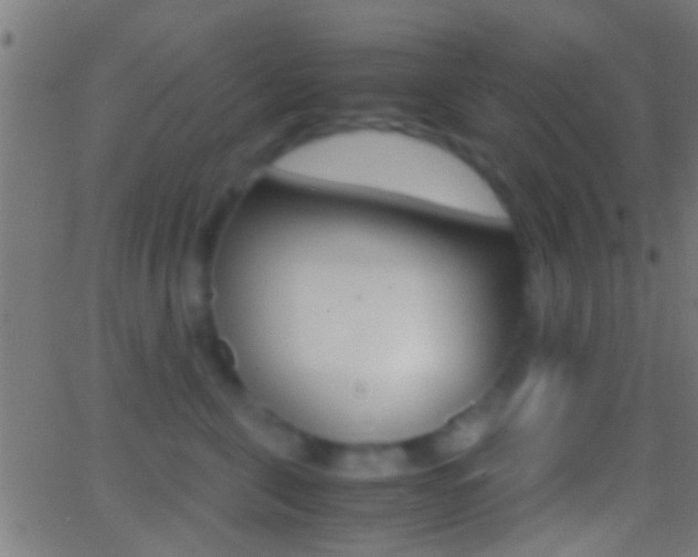 X0000062870571200601131014