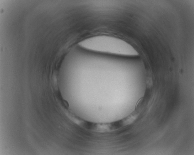 X0000062870573200601131014