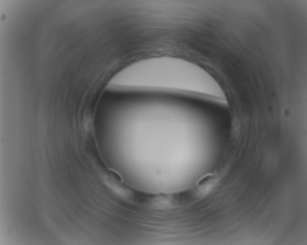 X0000062870574200601131014