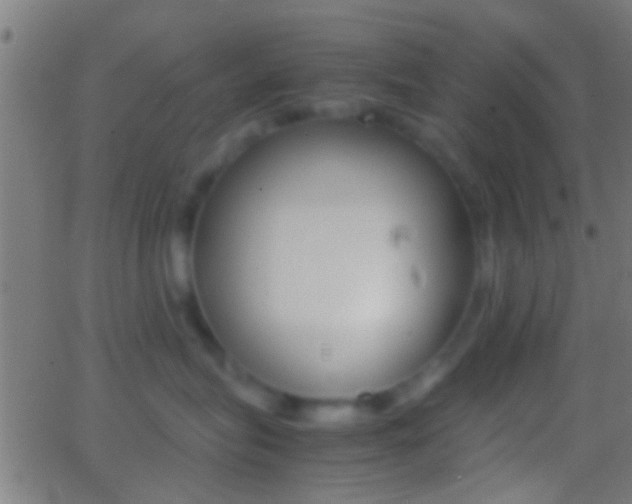 X0000062870575200601131014