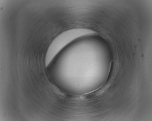 X0000062870576200601131014