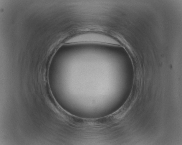 X0000062870585200601131013