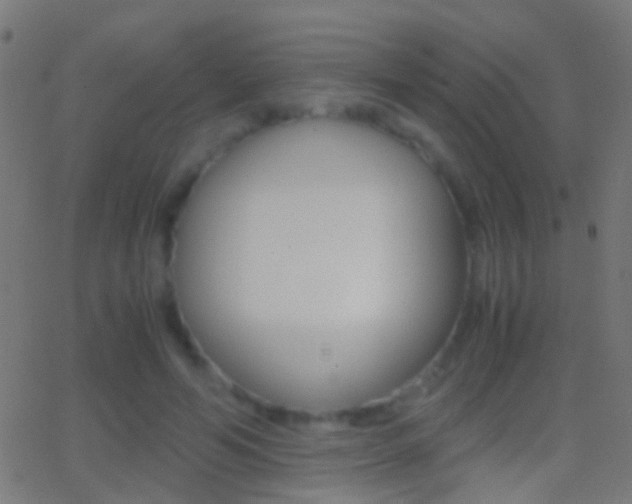 X0000062870594200601131013