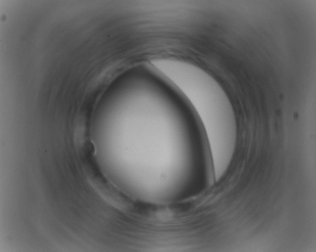 X0000062870600200601131013