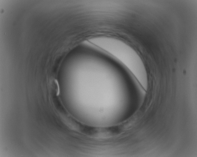 X0000062870601200601131013