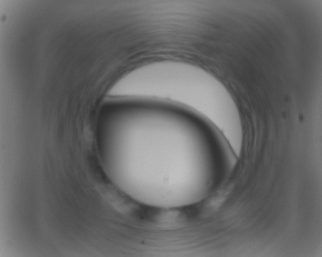 X0000062870609200601131012