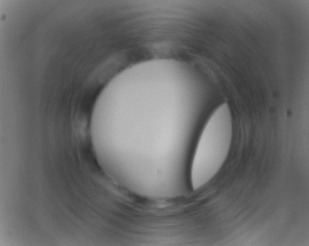 X0000062870610200601131012