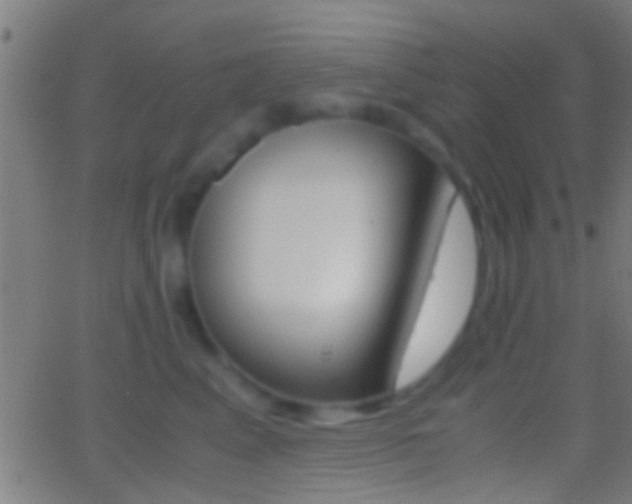 X0000062870617200601131012