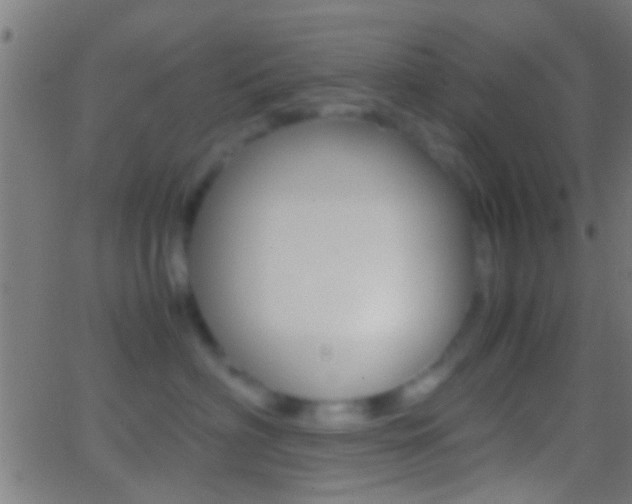 X0000062870622200601131012