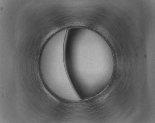 X0000062870625200601131011