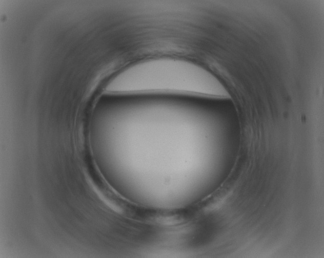 X0000062870638200601131012