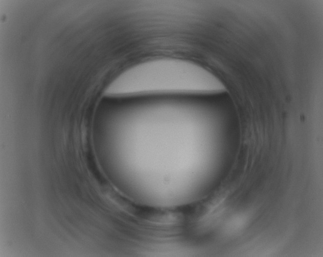 X0000062870646200601131012