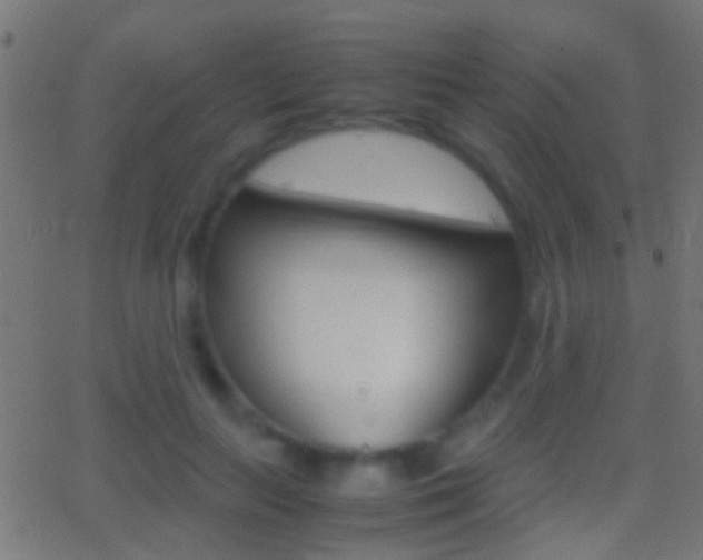 X0000062870647200601131012