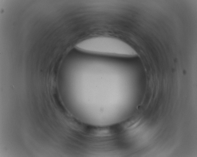 X0000062870651200601131012