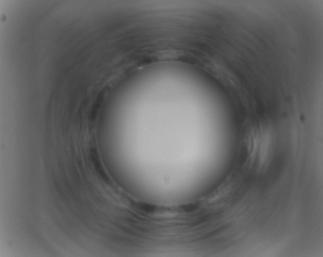 X0000062870655200601131012