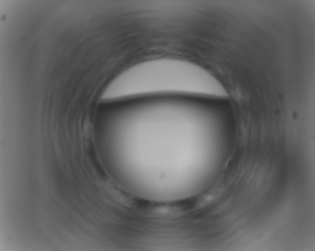 X0000062870657200601131012