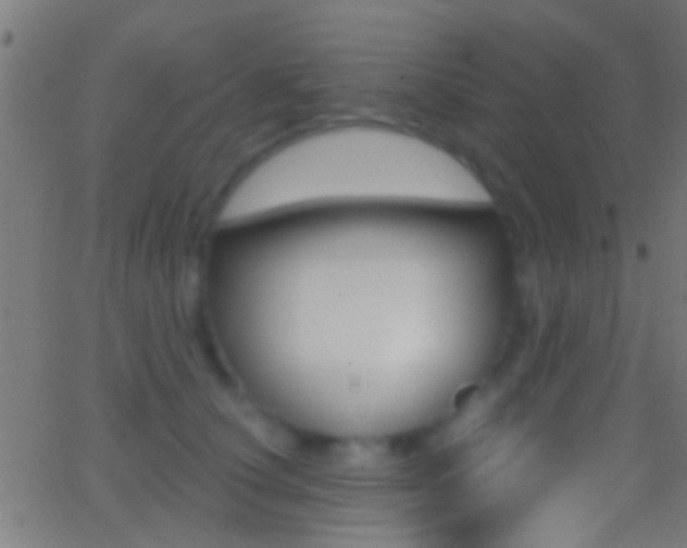 X0000062870660200601131012