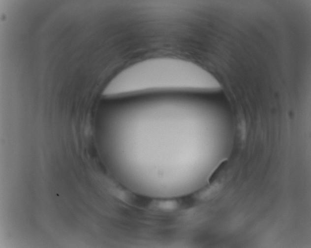 X0000062870665200601131012