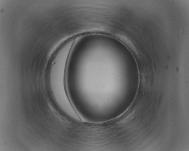 X0000062870676200601131011