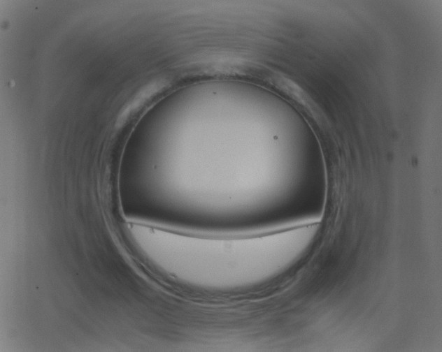 X0000062870677200601131011