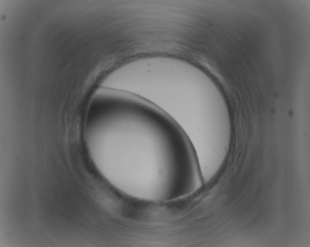 X0000062870685200601131011