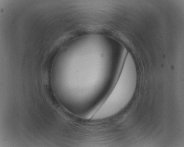 X0000062870689200601131011