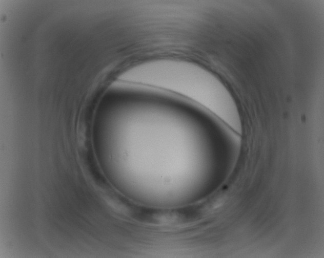 X0000062870693200601131011